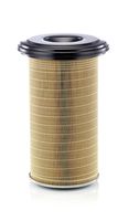 MANN-FILTER C246507 - Filtro de aire