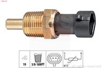 DELPHI TS1007512B1 - Sensor, temperatura del refrigerante