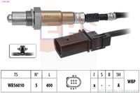 DAYCO 6PK1137 - Correa trapecial poli V