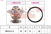 DAYCO DT1124V - Termostato, refrigerante