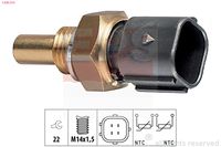 DELPHI TS10494 - Sensor, temperatura del refrigerante