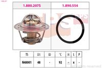 DAYCO DT1051V - Termostato, refrigerante