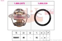 DAYCO DT1051V - Termostato, refrigerante