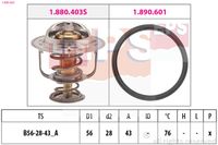 CALORSTAT by Vernet TH629576 - Termostato, refrigerante