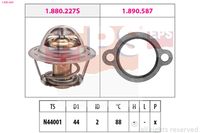 DAYCO DT1233V - Termostato, refrigerante