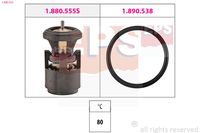 DOLZ THA031 - Termostato, refrigerante