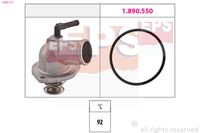 DAYCO DT1081F - Termostato, refrigerante
