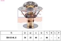 CALORSTAT by Vernet TH657887 - Termostato, refrigerante