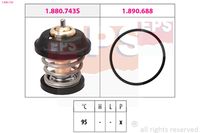 DAYCO DT1064F - Termostato, refrigerante