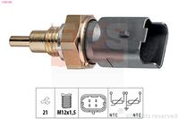 DELPHI TS10401 - Sensor, temperatura del refrigerante