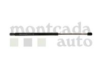 Montcada RCI011 - Muelle neumático, maletero/compartimento de carga