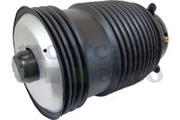 Montcada 0296600 - Fuelle, suspensión neumática