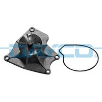 DAYCO DP770 - Bomba de agua, refrigeración del motor