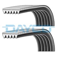 DAYCO 6PK1019EE - Correa trapecial poli V
