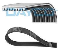 CORTECO 19025761 - Tubo flexible de frenos