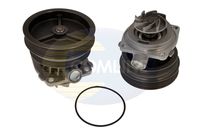 COMLINE EWP079 - Bomba de agua, refrigeración del motor