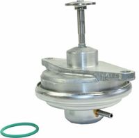 CASCO CVG77030GS - Válvula EGR - Genuine