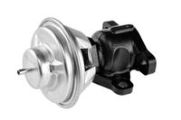 CASCO CVG78018GS - Válvula EGR - Genuine