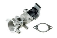 CASCO CVG81000GS - Válvula EGR - Genuine