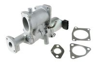 CASCO CVG77016GS - Válvula EGR - Genuine