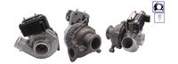 LUCAS LTRPA7696742 - Turbocompresor, sobrealimentación - OE REMAN