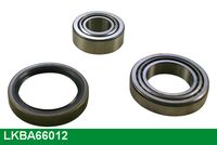 JAPANPARTS DT17X1025LI - Correa trapezoidal