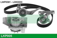 KAMOKA R0534 - Polea tensora, correa dentada