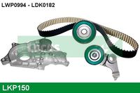 GATES 5562XS - Correa dentada - PowerGrip™