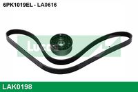 KAMOKA 7016034 - Correa trapecial poli V
