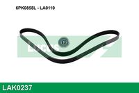 GATES K016PK860 - Juego de correas trapeciales poli V - Micro-V®