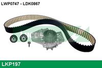 JAPANPARTS KDD812 - Juego de correas dentadas