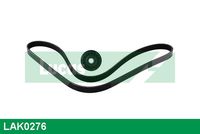 KAMOKA 7016034 - Correa trapecial poli V