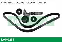 KAMOKA 7016236 - Correa trapecial poli V