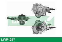 DOLZ L247V - Bomba de agua, refrigeración del motor