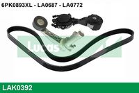 LUCAS 6PK0895L - Correa trapecial poli V