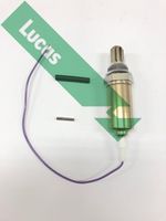 LUCAS LEB121 - Sonda Lambda