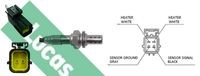 LUCAS LEB290 - Sonda Lambda