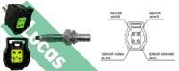 LUCAS LEB4029 - Sonda Lambda