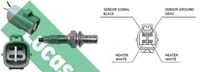 LUCAS LEB5419 - Sonda Lambda