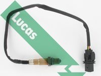 LUCAS LEB5482 - Sonda Lambda