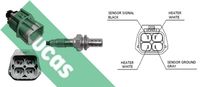 LUCAS LEB763 - Sonda Lambda