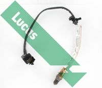 LUCAS LEB987 - Sonda Lambda