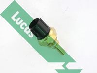LUCAS SNB860 - Sensor, temperatura del refrigerante