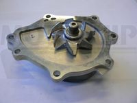 MOTAQUIP VWP889 - Bomba de agua, refrigeración del motor