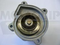 MOTAQUIP VWP874 - Bomba de agua, refrigeración del motor