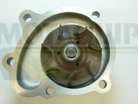 MOTAQUIP VWP835 - Bomba de agua, refrigeración del motor