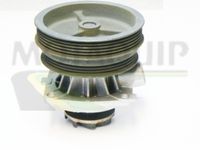 MOTAQUIP VWP706 - Bomba de agua, refrigeración del motor
