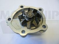 MOTAQUIP VWP907 - Bomba de agua, refrigeración del motor