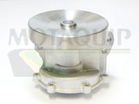 MOTAQUIP VWP810 - Bomba de agua, refrigeración del motor