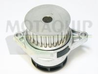 MOTAQUIP VWP824 - Bomba de agua, refrigeración del motor
